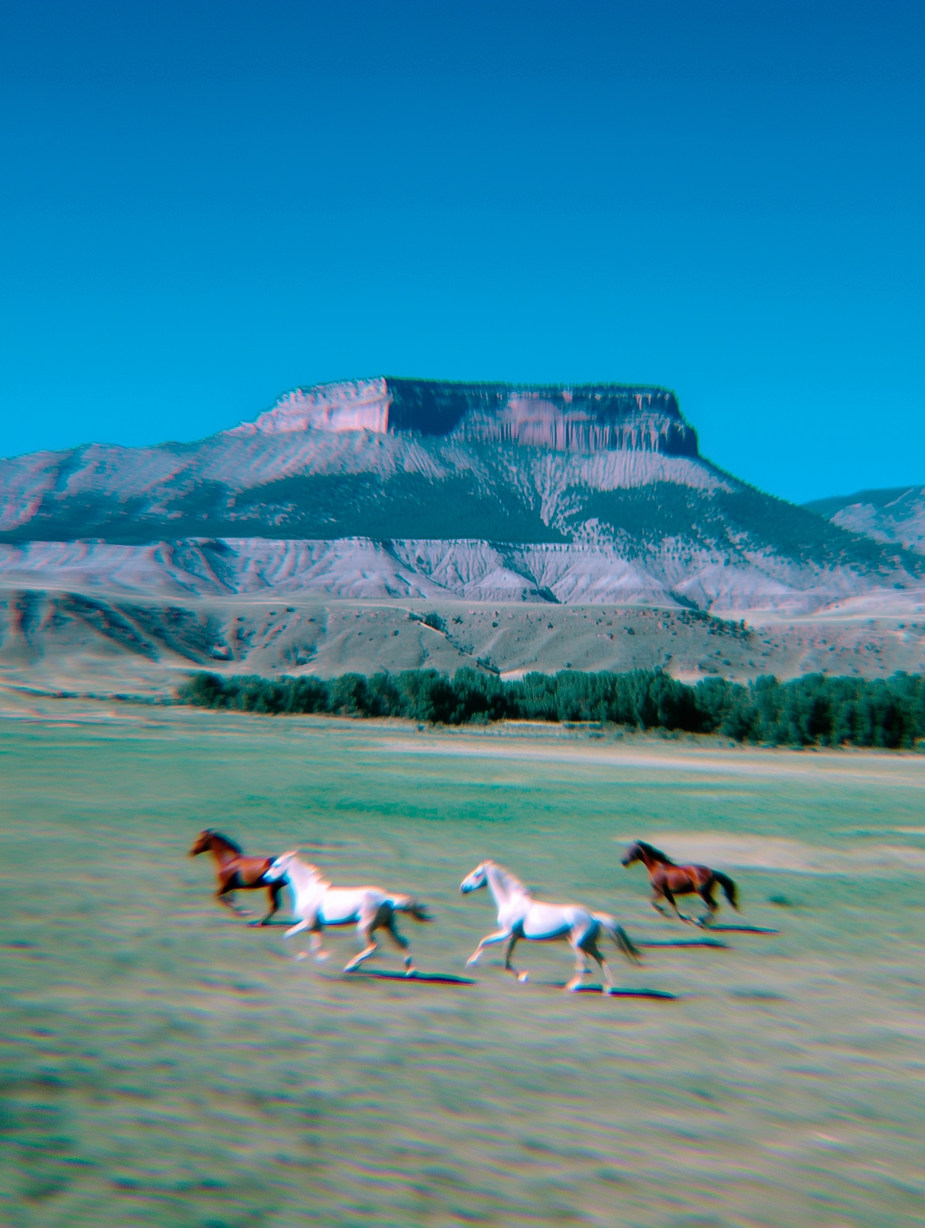 Majestic Mountain Views with Galloping Horses