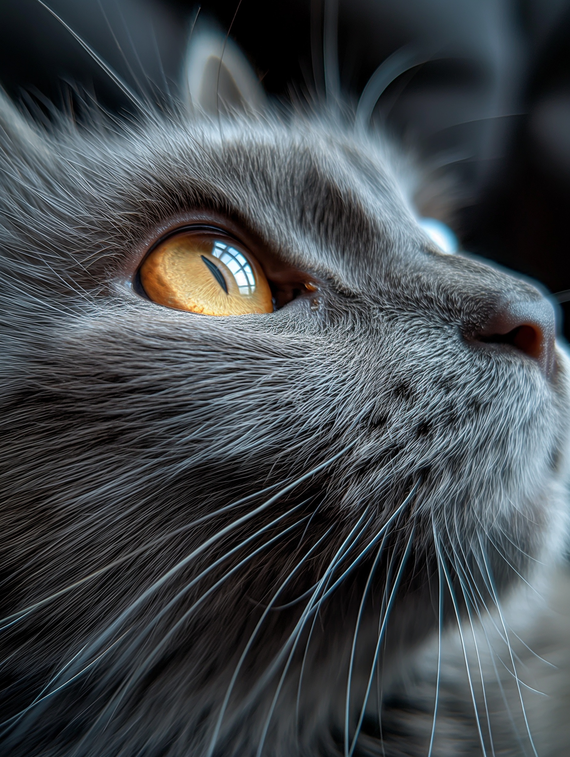 Realistic Smoky Grey Maine Cat Selfie Photography