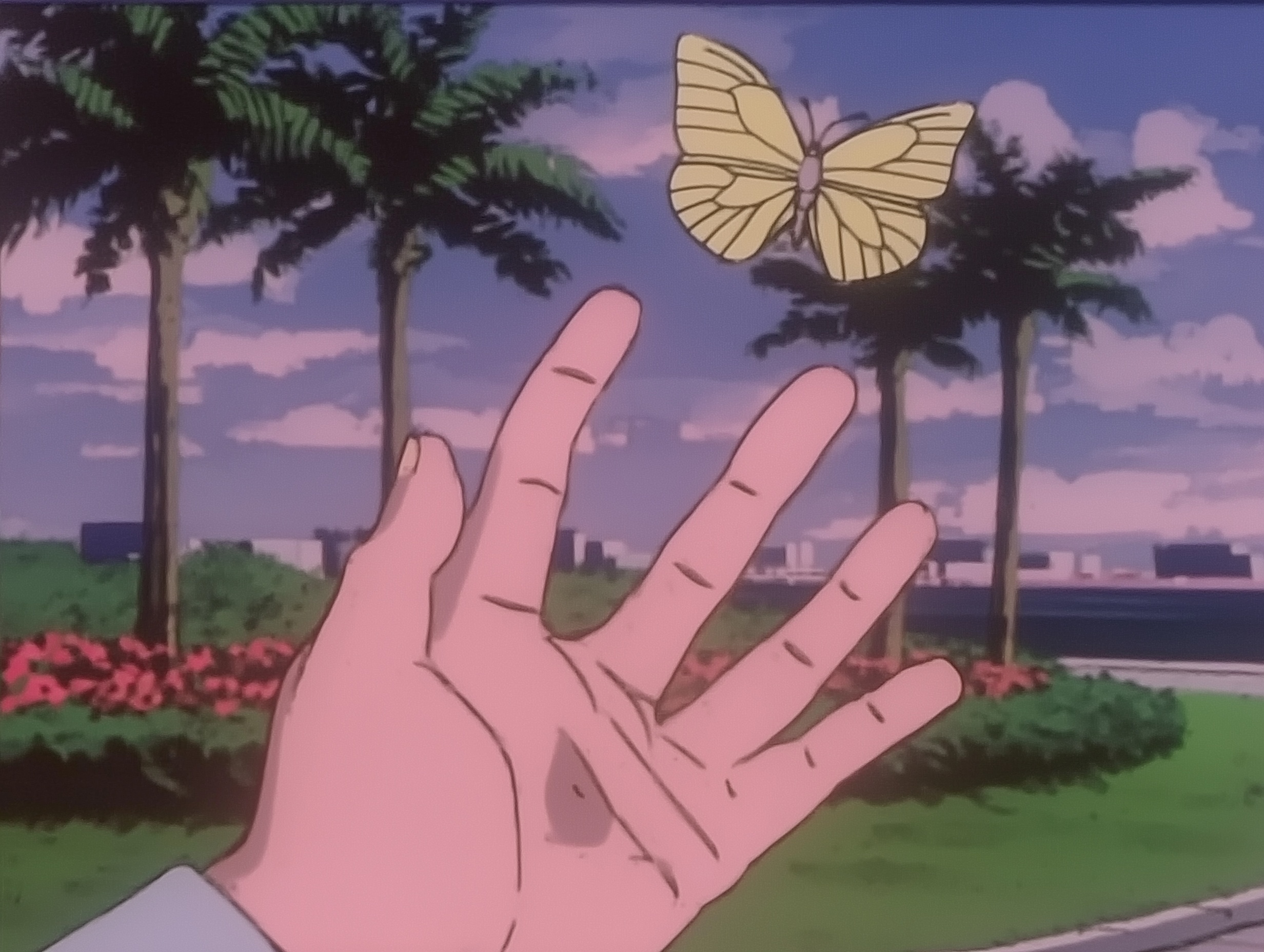 Serene Palm and Butterfly: Nature's Harmony