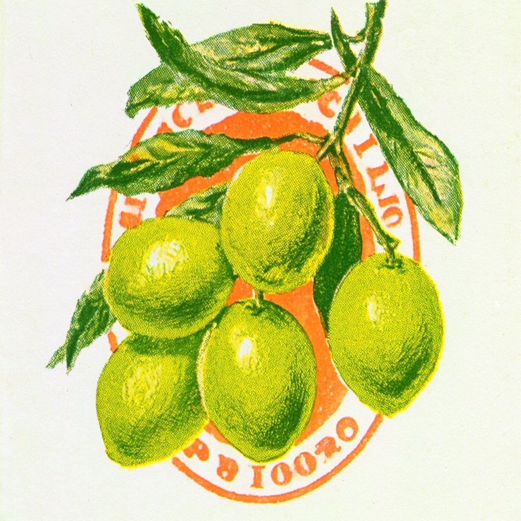 Vintage Italian Olive Oil Logo Design
