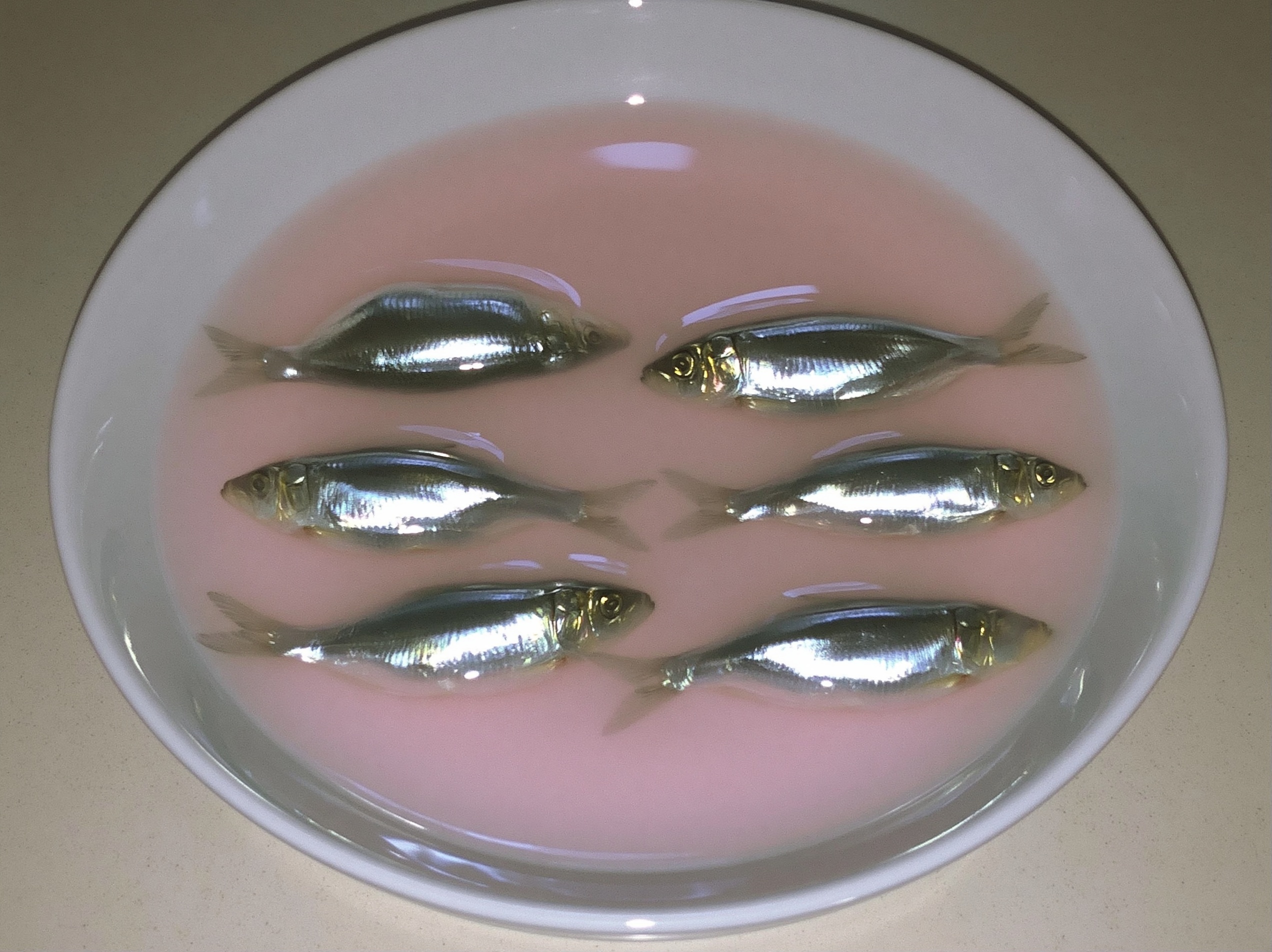 Artful Food Styling: Unique Sardine Bowl Display