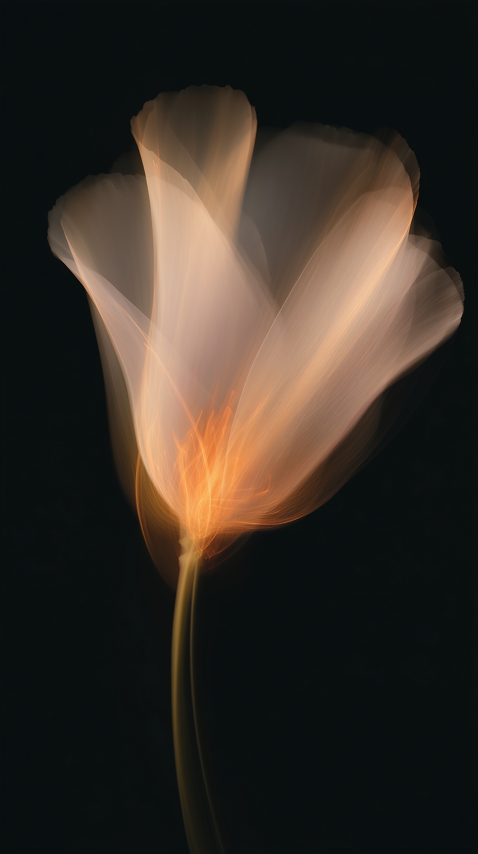 Captured Motion: Ethereal Flower Photography