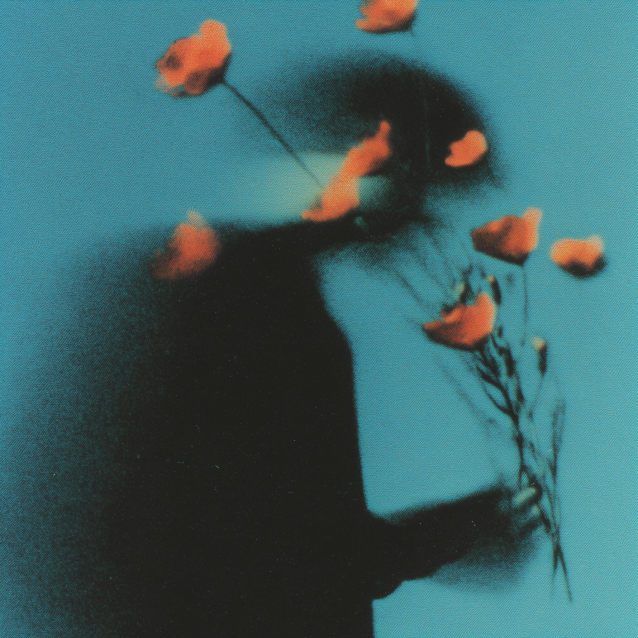 Captivating Flowers: A Beautiful Fall Display