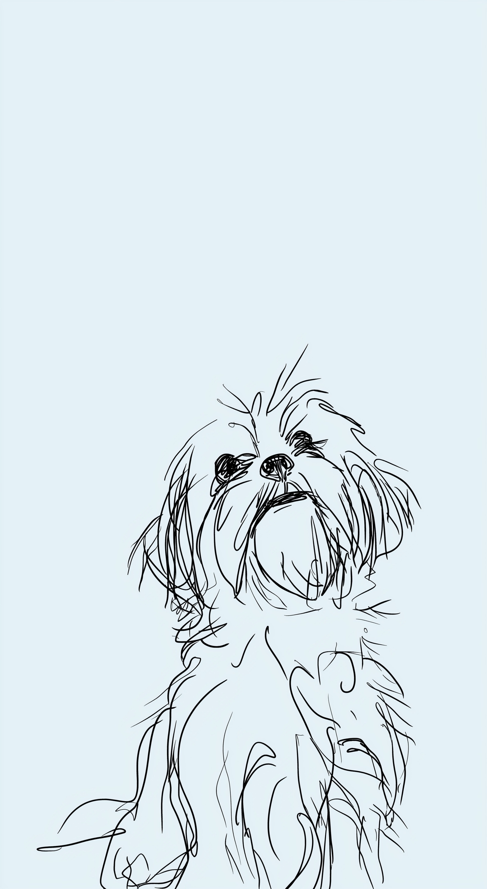 Adorable Maltese Dog Against Light Blue Backdrop