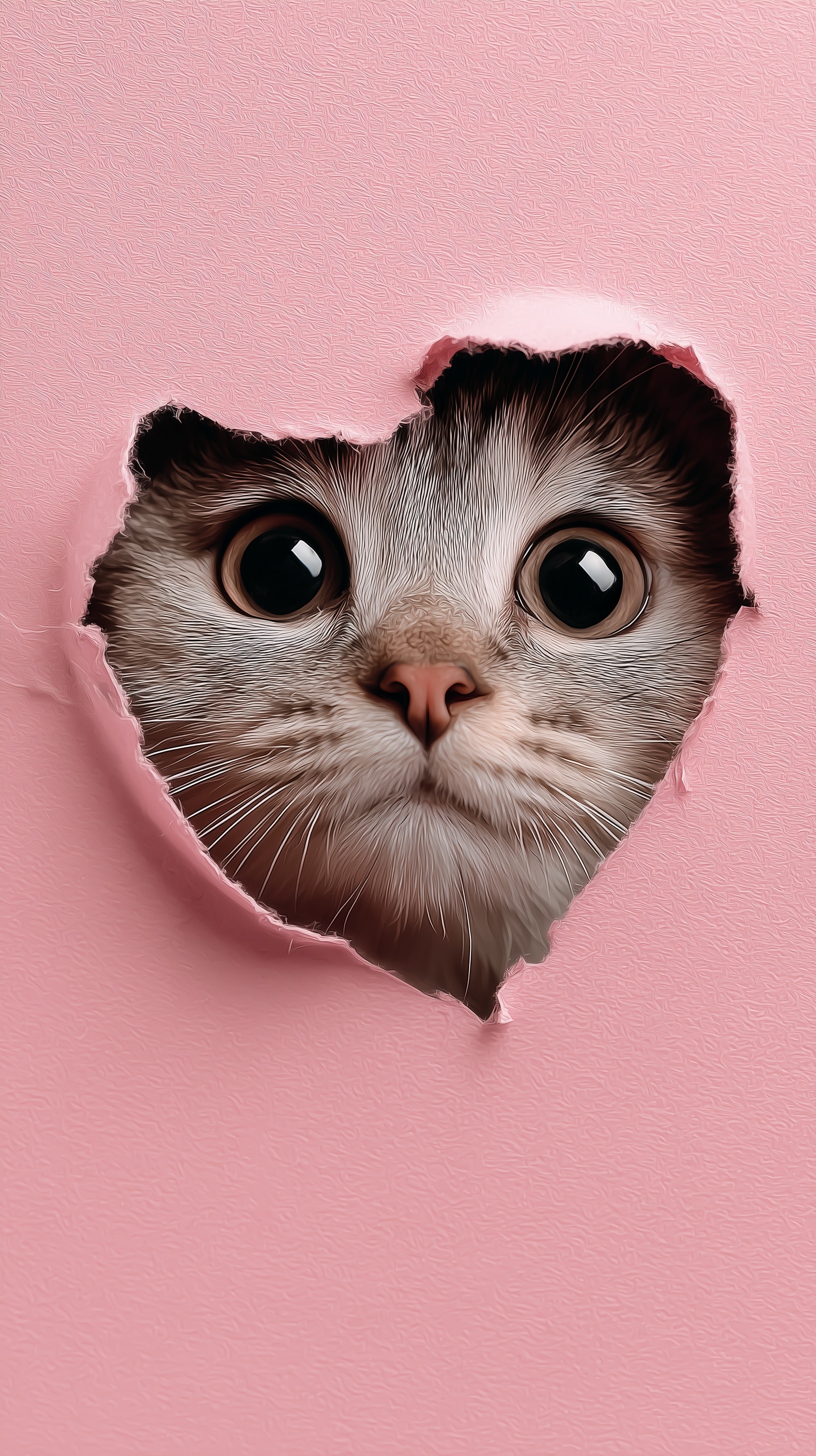 Adorable Kitty Peeking from Pink Heart