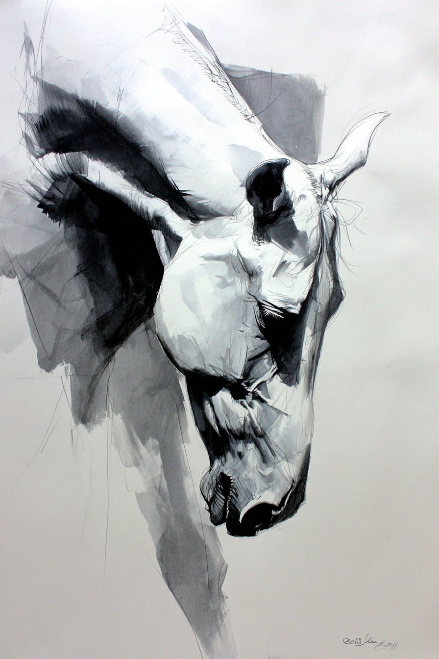 Emotive Charcoal Drawing of a Desert Horse