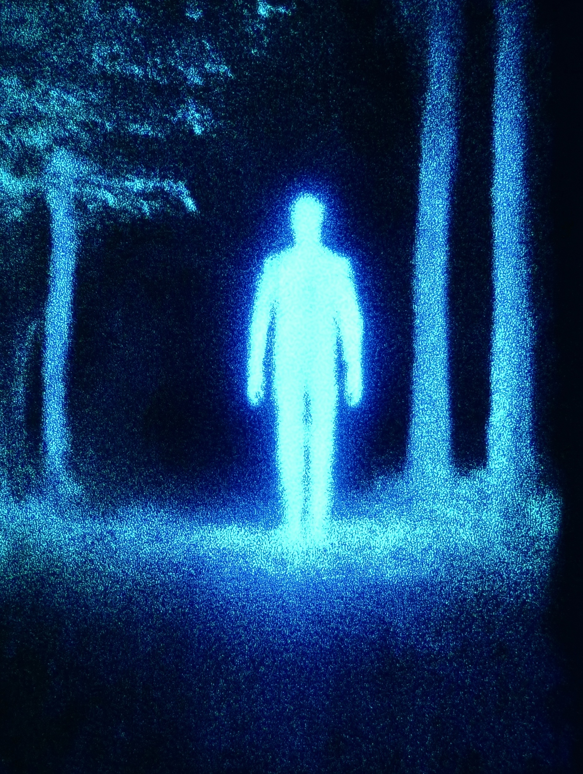 Illuminate Your Path: Ethereal Forest Journey