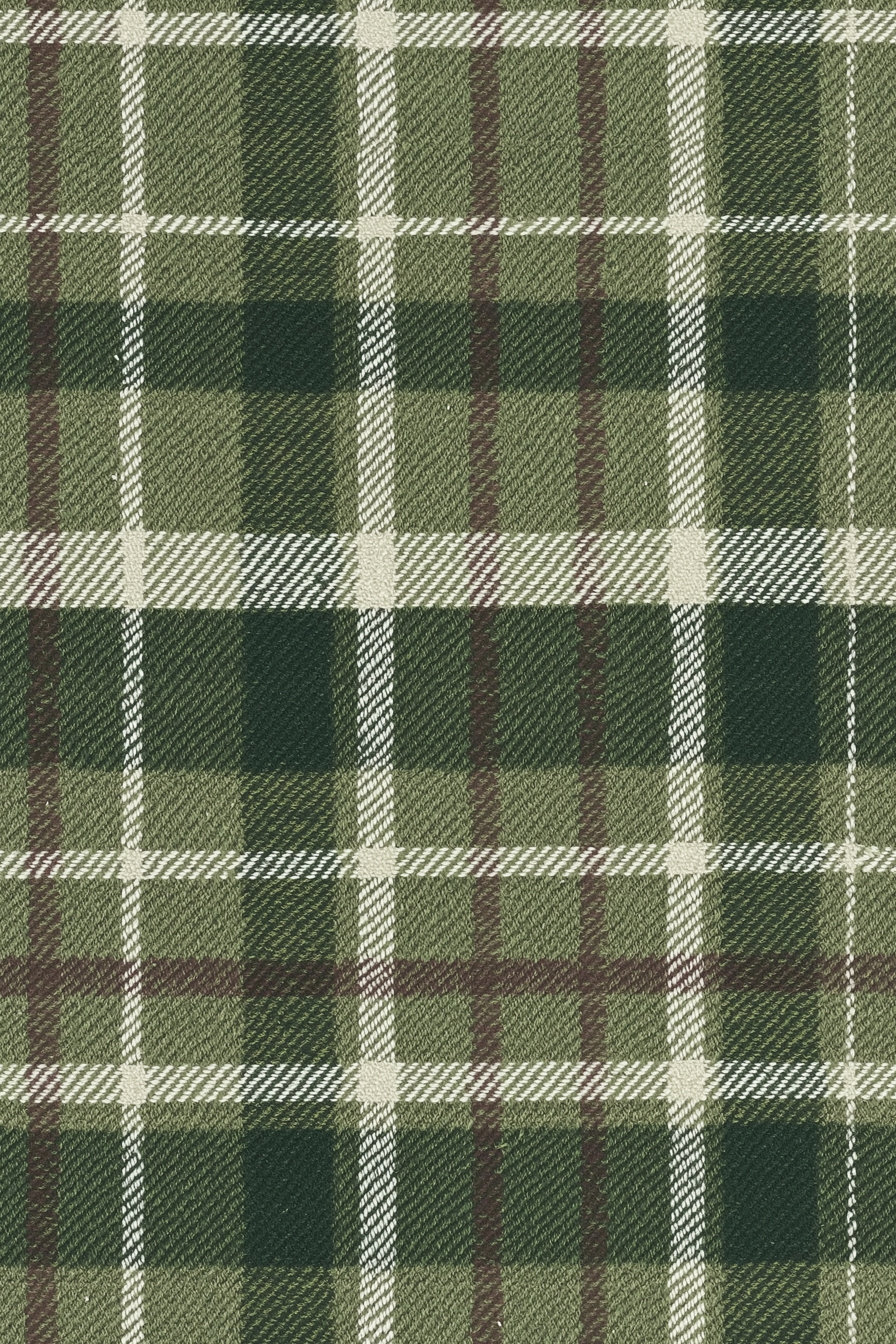 Monochrome Olive Green Tartan Plaid Palette