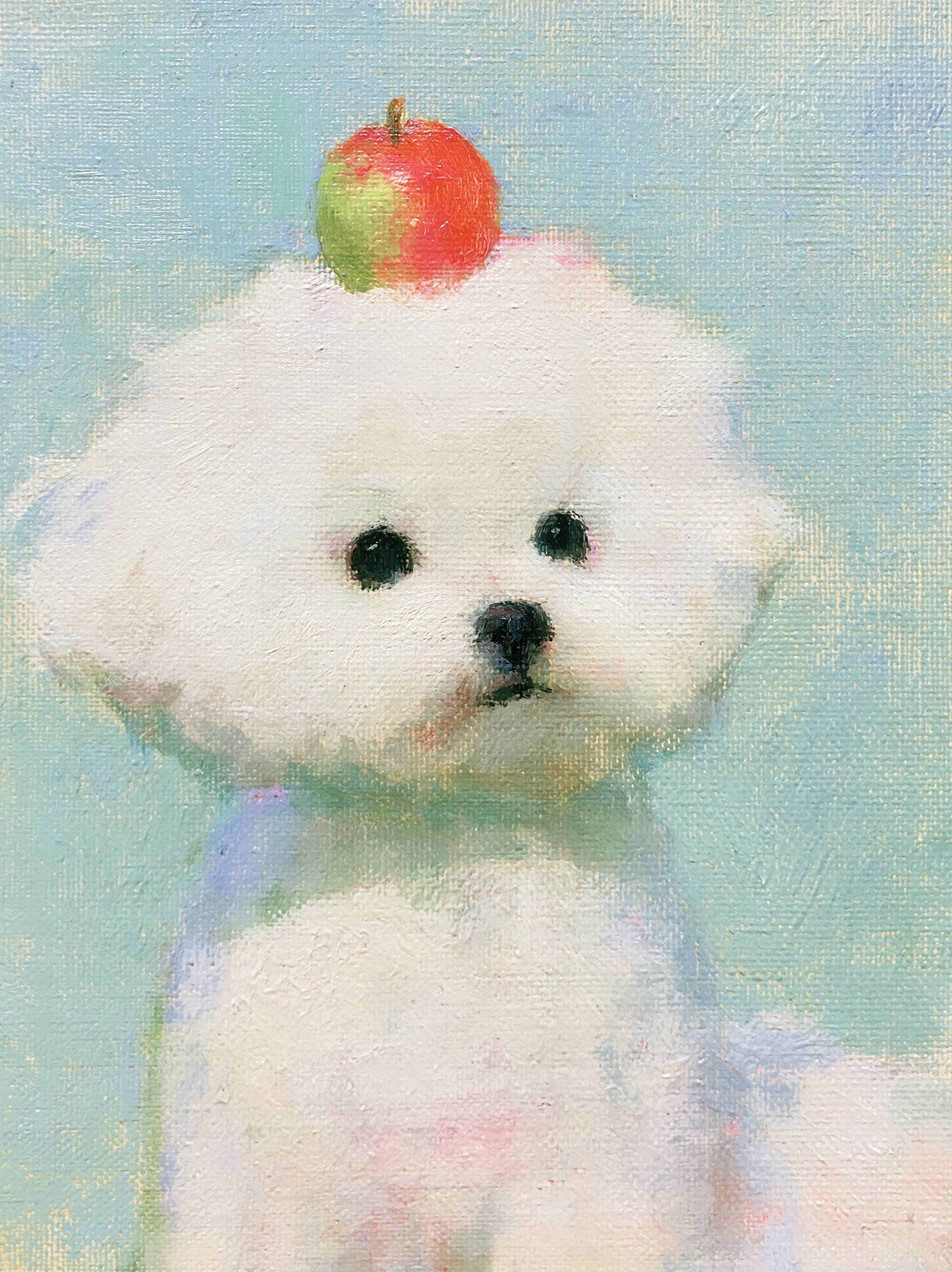 Charming Bichon Frise with Apple on Its Head