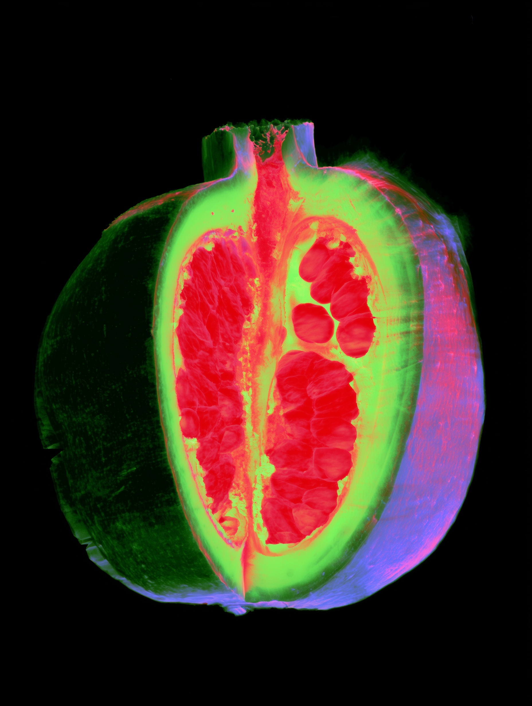 Discover 3D Thermal Visuals of a Split Pomegranate