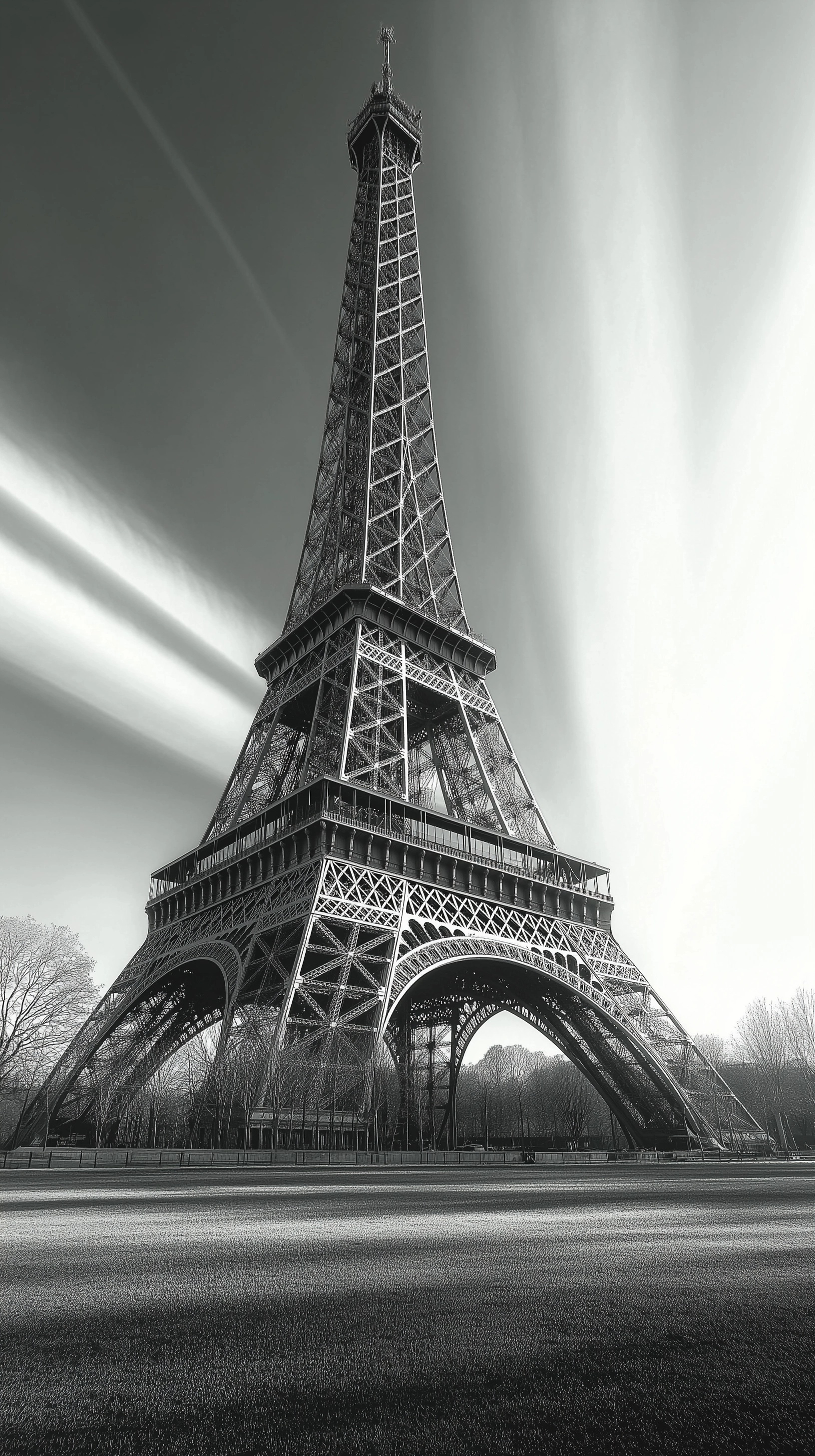 Timeless Black & White Eiffel Tower Landscape