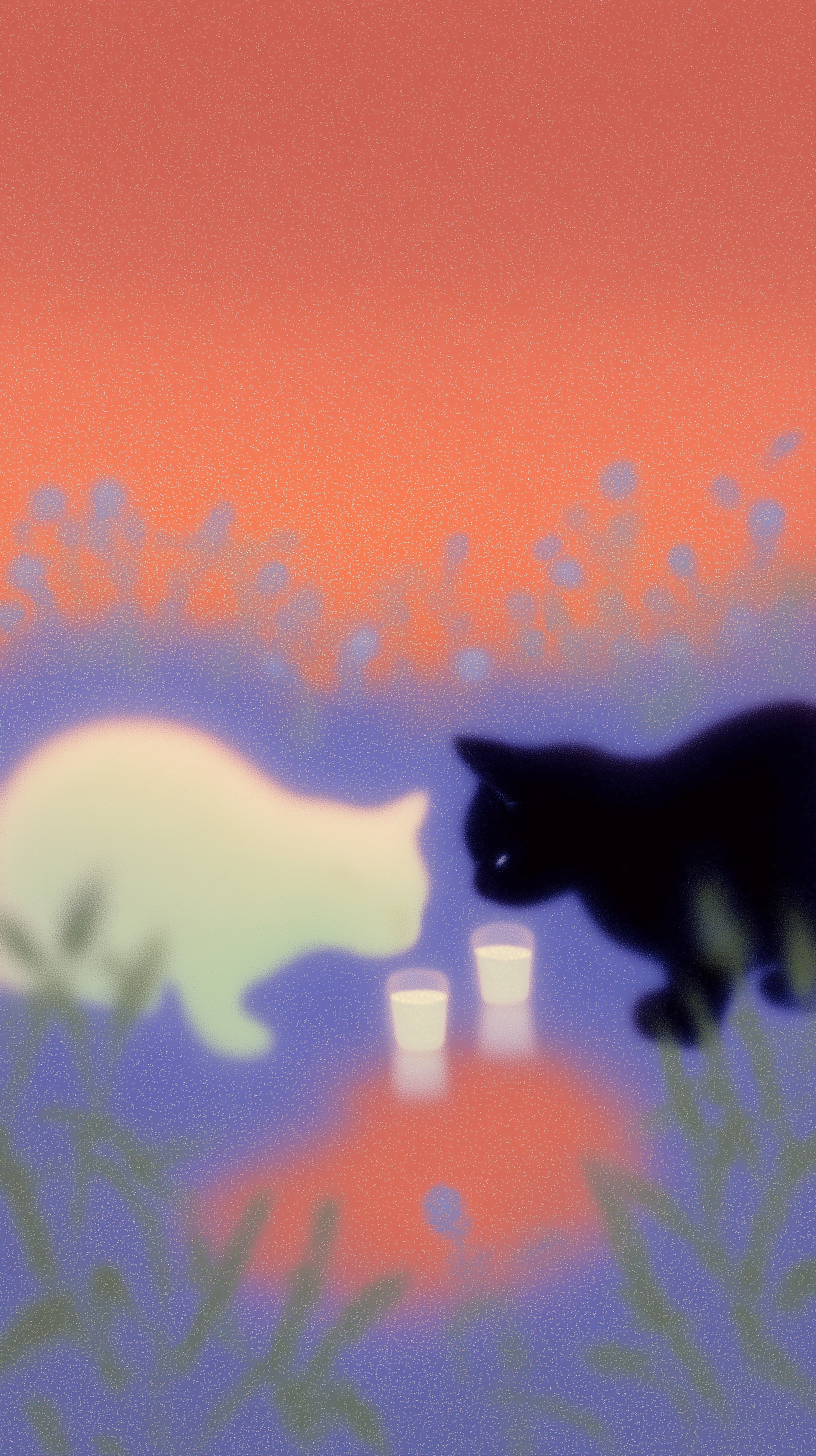 Two Cats Enjoying Water in the Sun