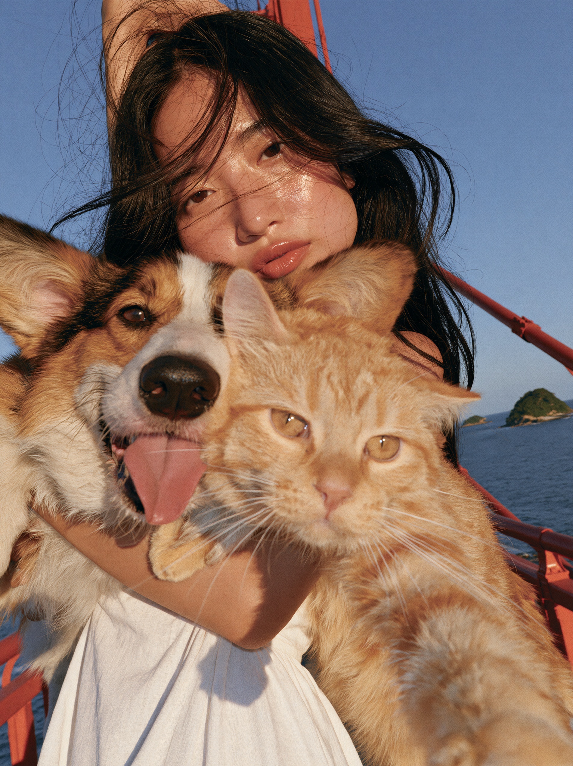 Joyful Pets on a Scenic Red Bridge