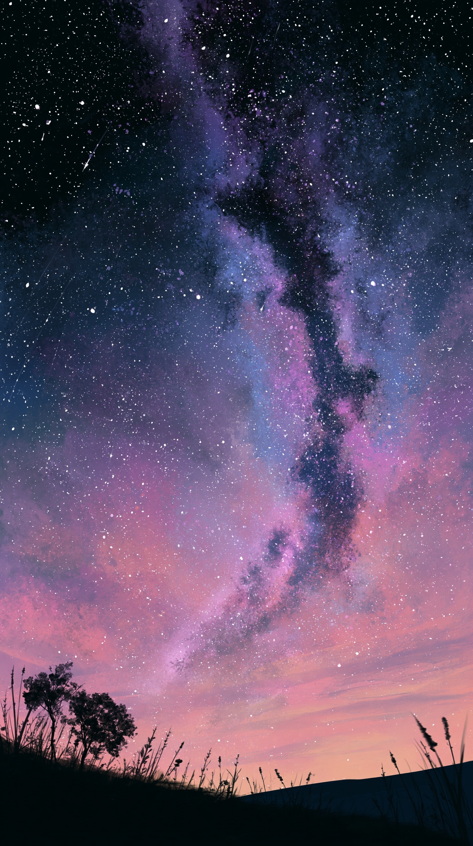 Explore the Cosmic Beauty of the Milky Way