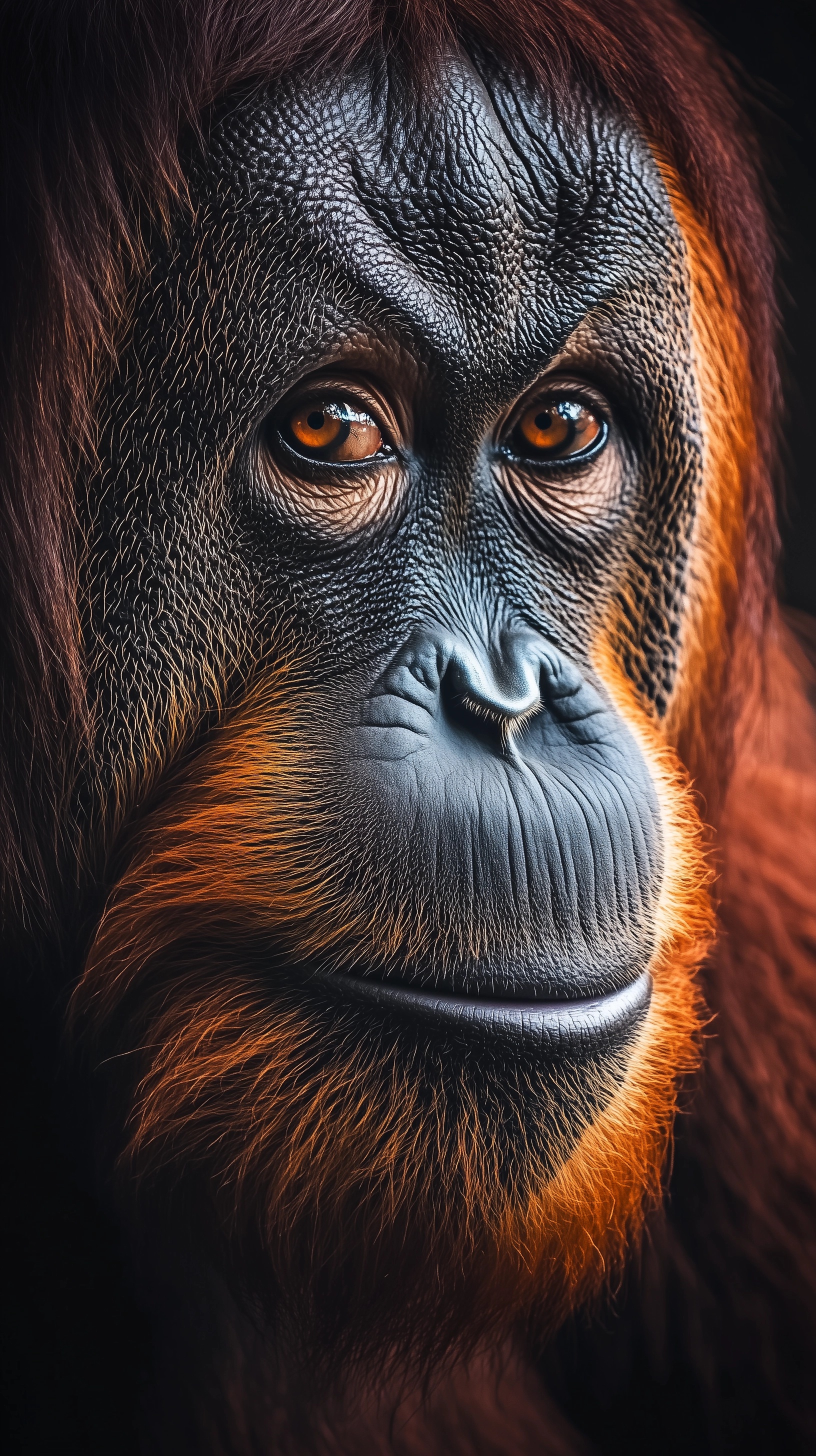 Majestic Orangutan Portrait: Capture Nature's Beauty