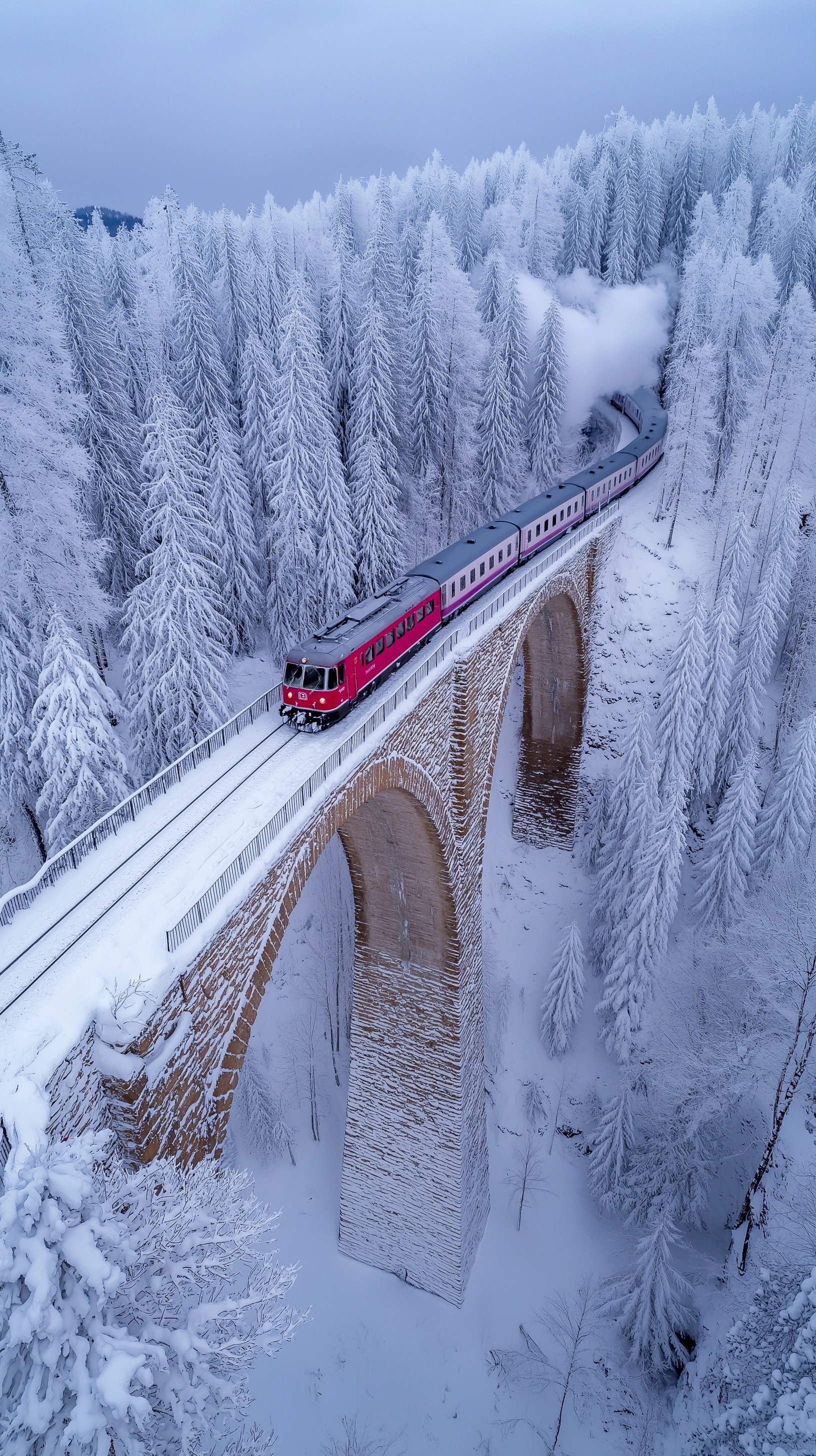 Experience the Majesty of Landwasser Viaduct