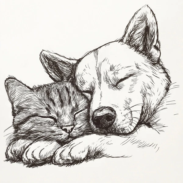 Whimsical Cuddles: Dog and Cat Line Art