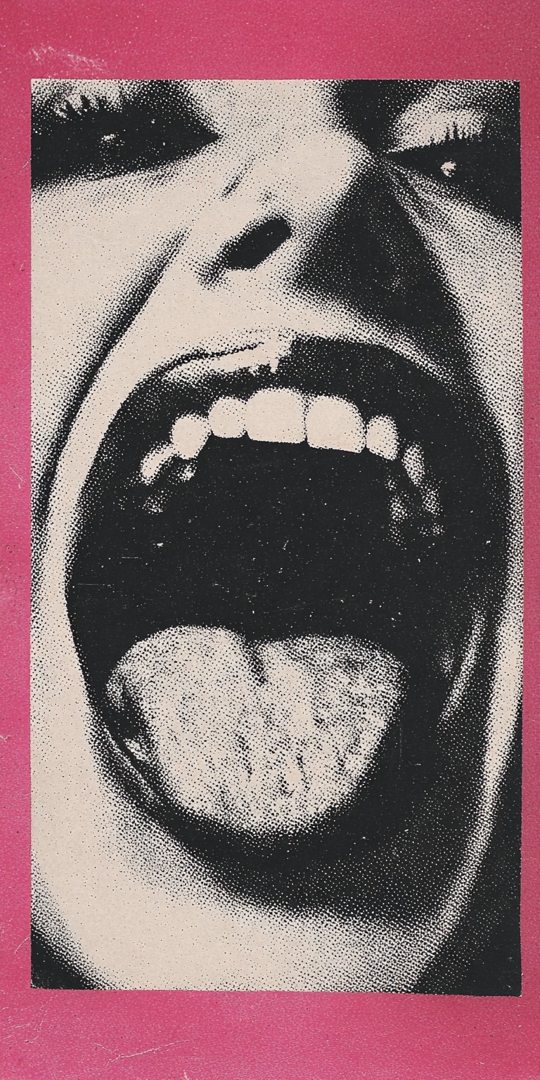 Fierce Feminism: Bold Punk Poster Art