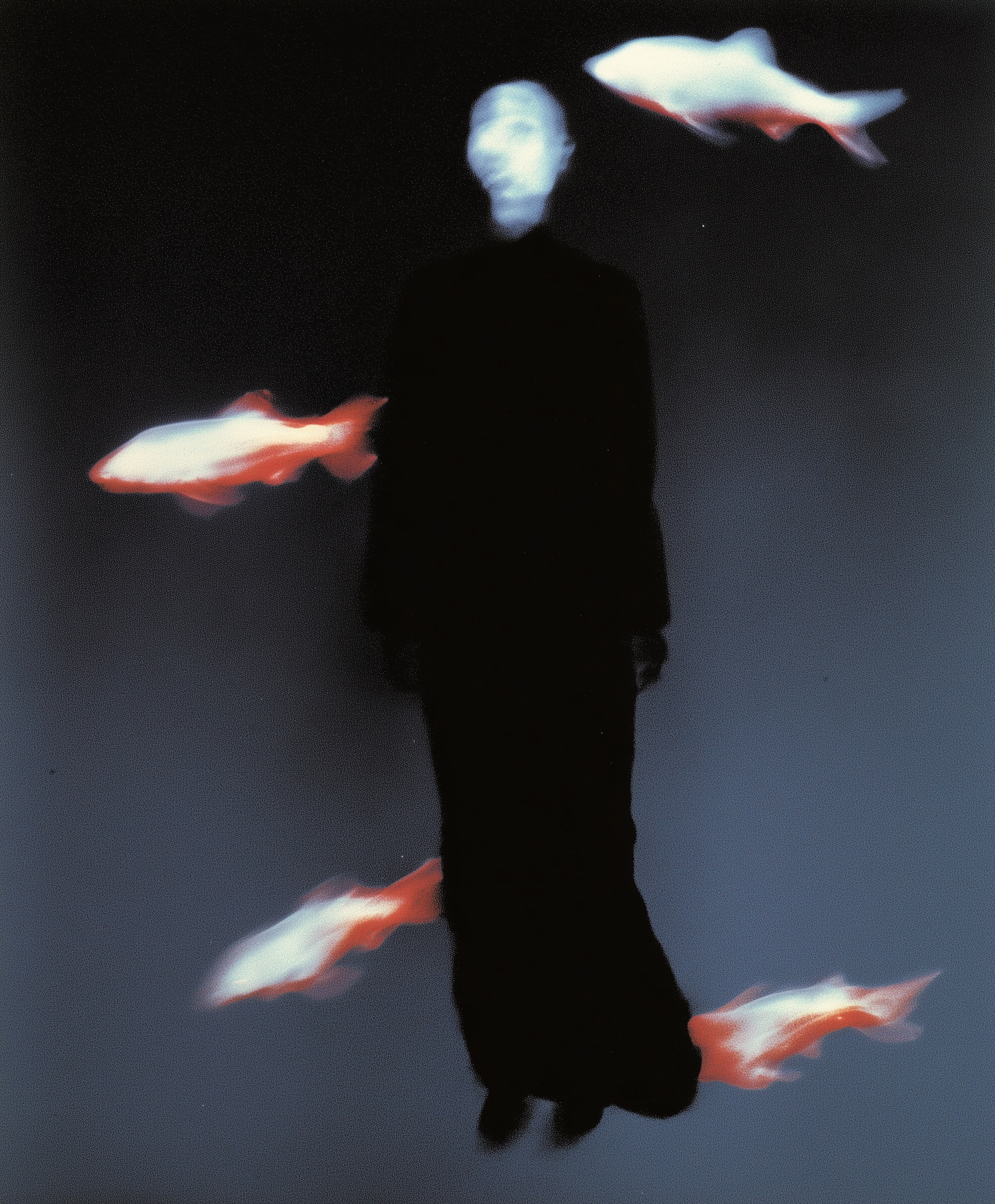 Neon Dreams: Ethereal X-Ray Art Experience