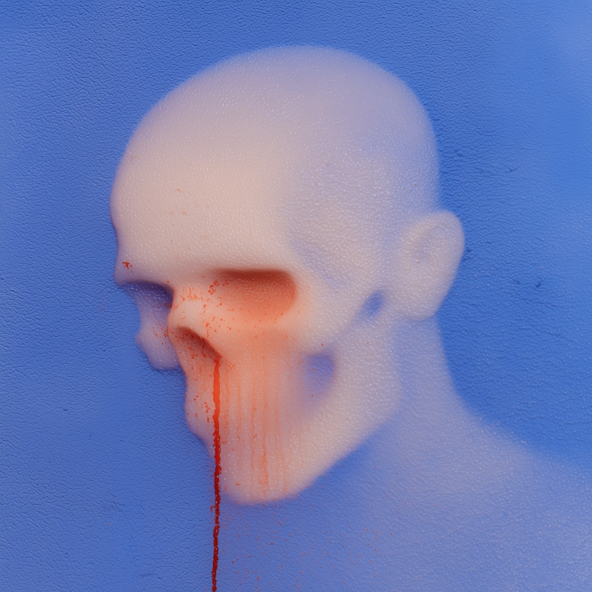 Duality of Beauty: A Striking Album Cover Design