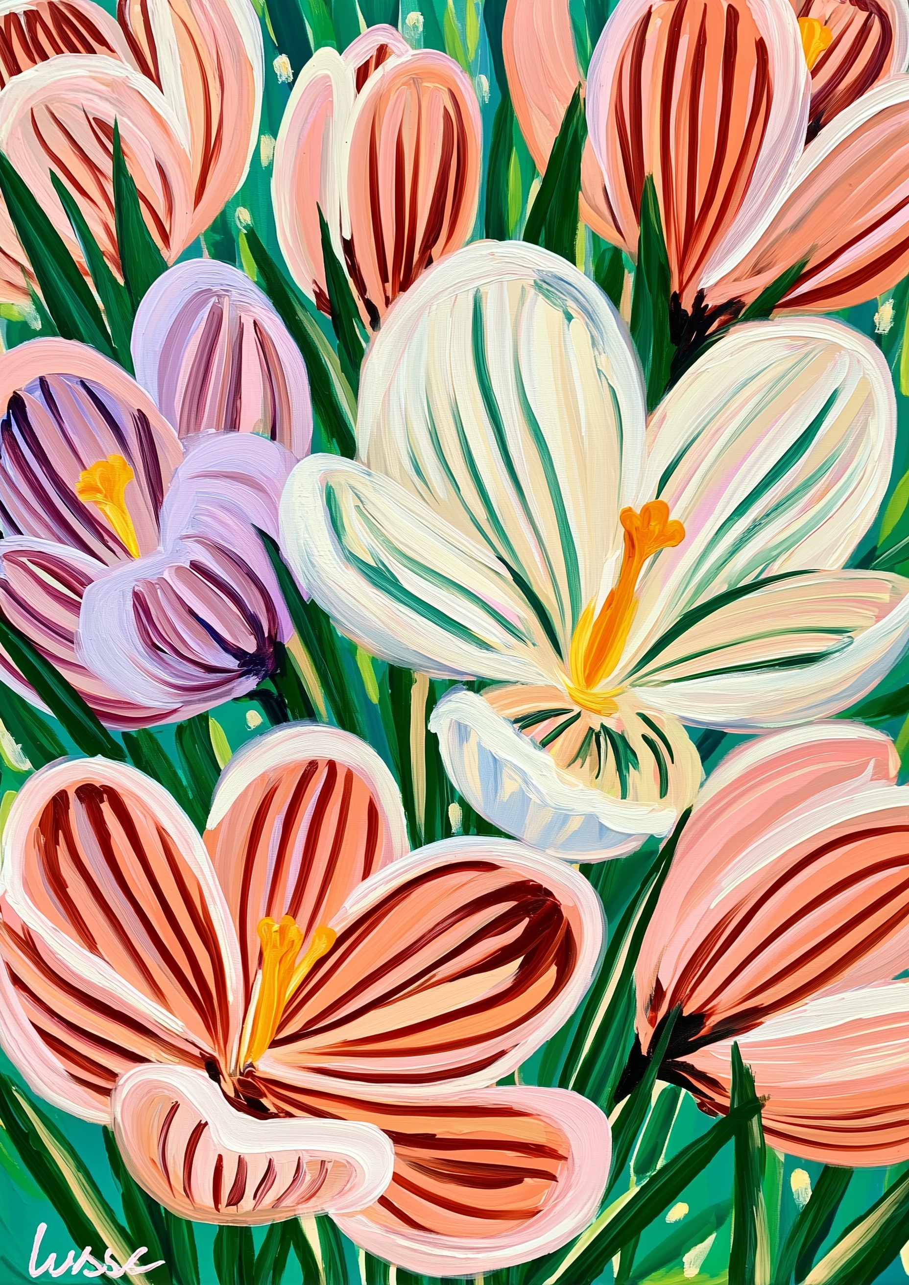 Colorful Crocuses: Purple, White, Yellow Blooms