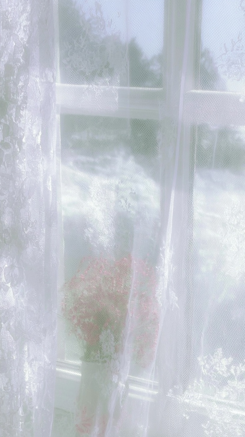 Elegant Lace Window Designs in Soft Tones