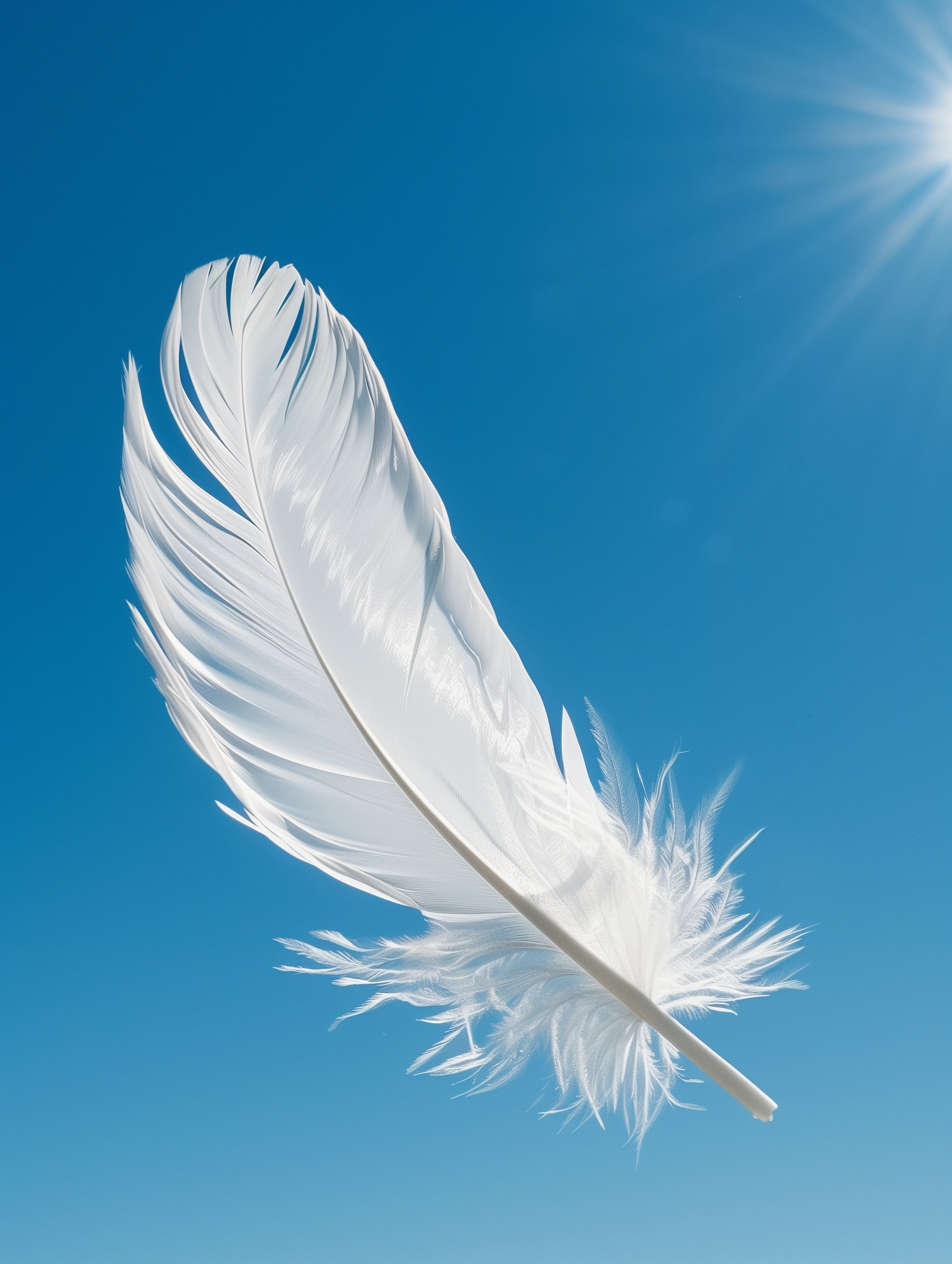 Feather of Freedom: A Book Cover Symbolizing Lightness