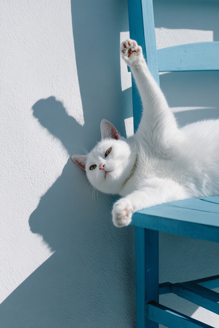 Playful White Cat on Blue Chair - Minimalist Aesthetic