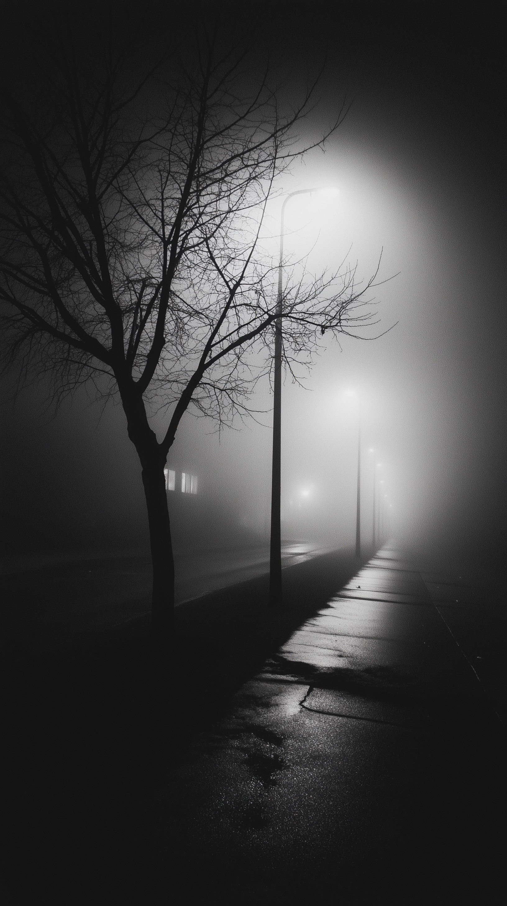 Fujifilm Captures City Life on Foggy Nights