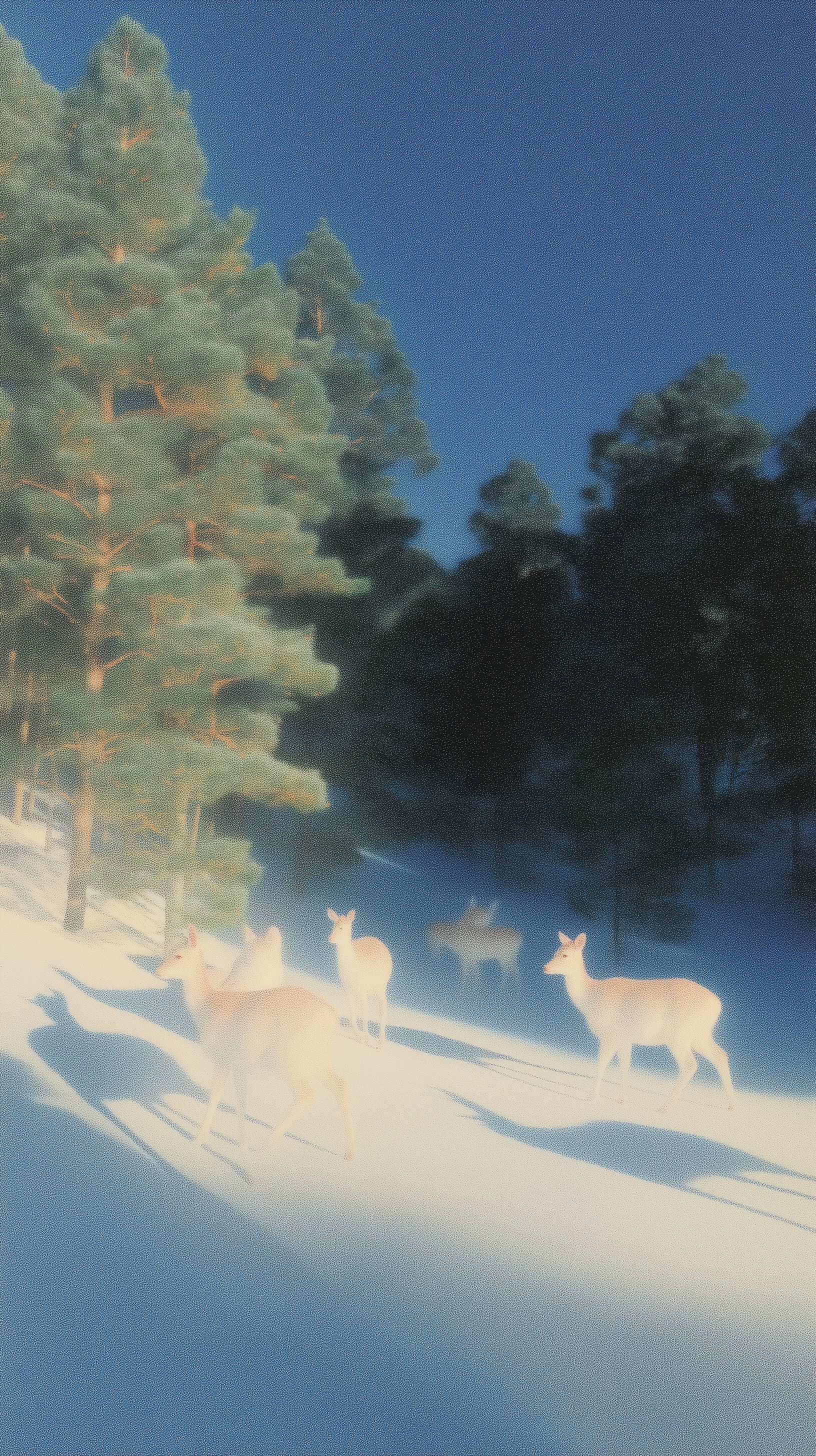 Enchanting Northern Lights in a Winter Forest