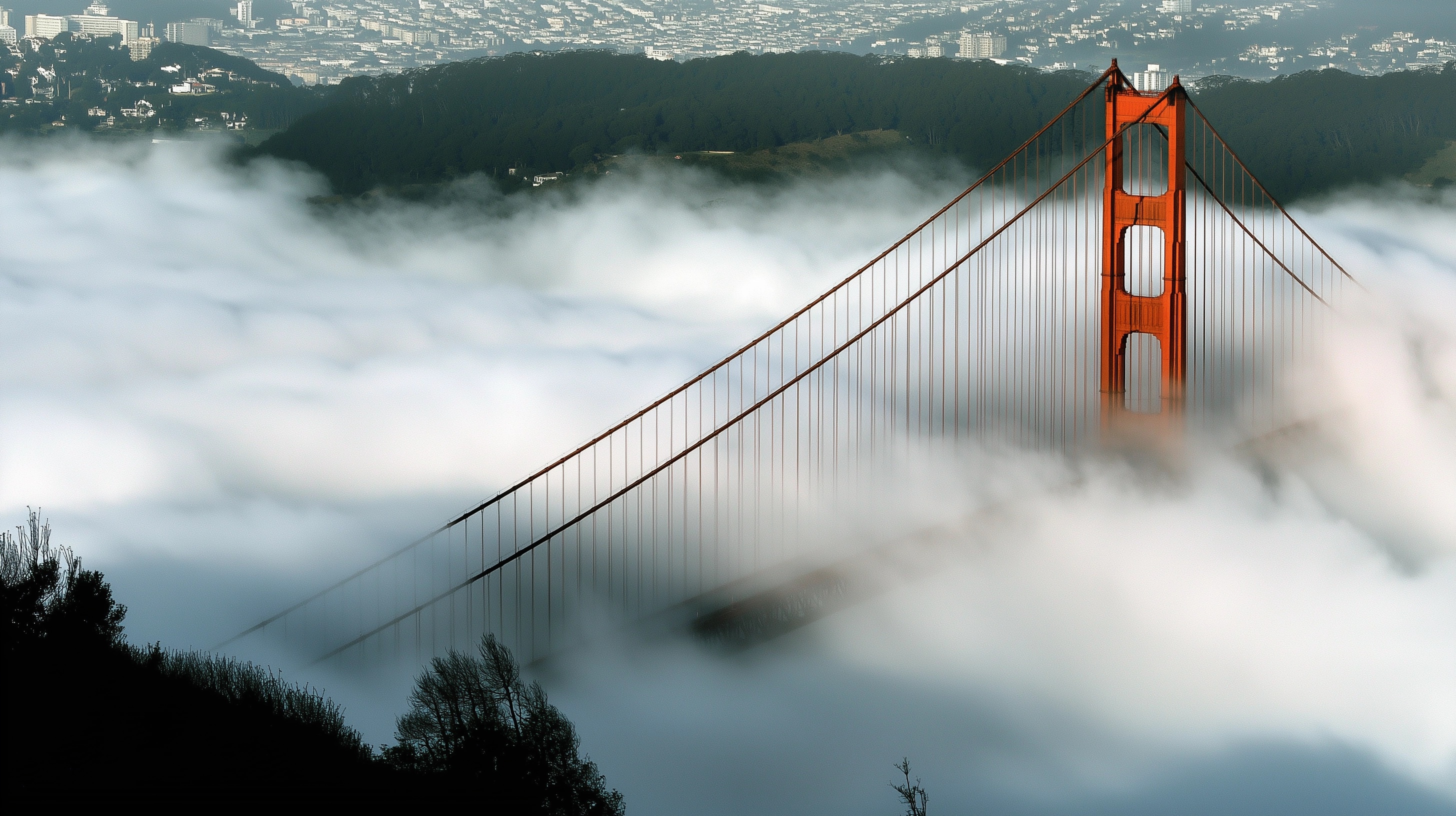 Majestic Bridge Shrouded in Enigmatic Fog